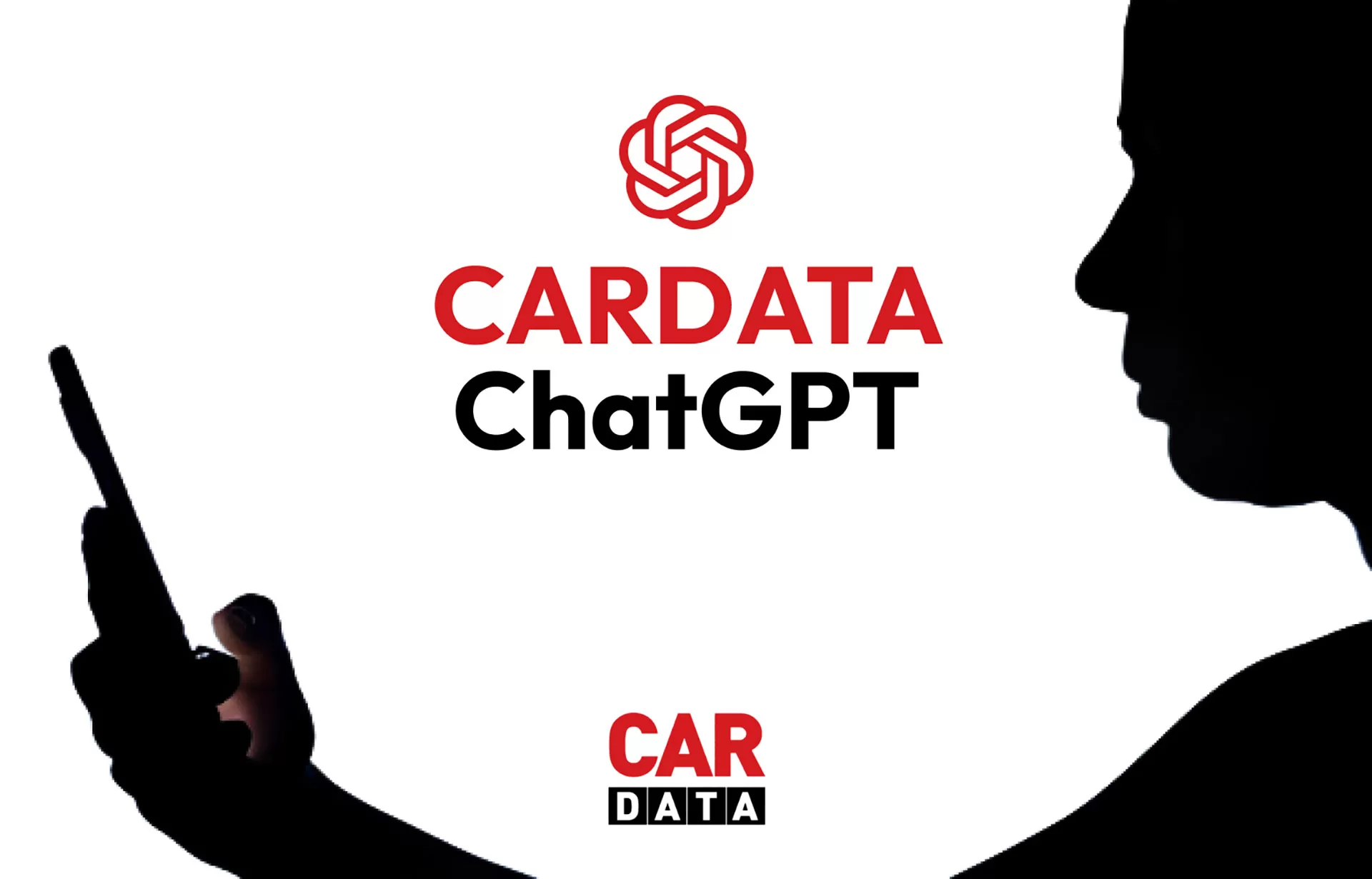 Cardata 2 jpg