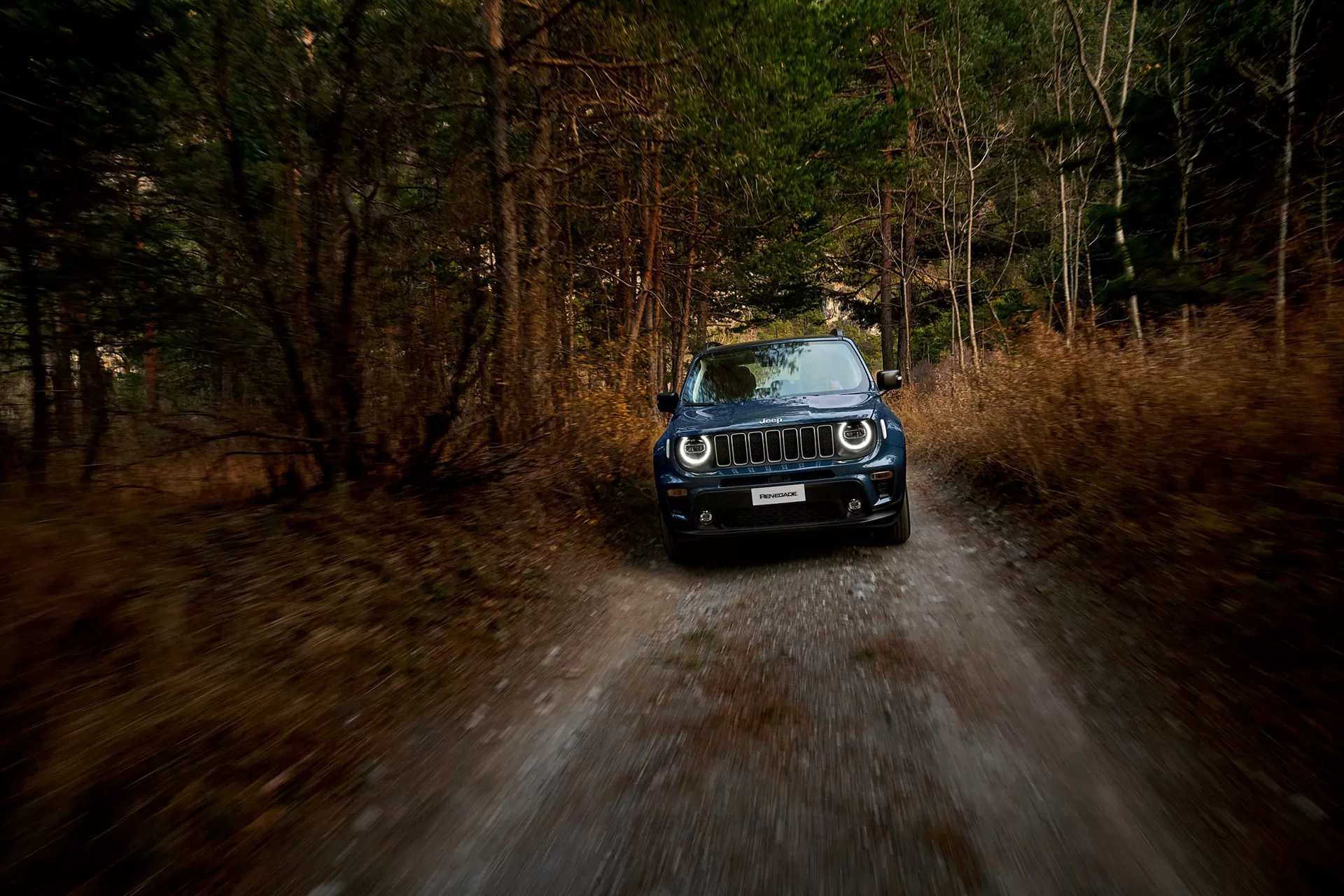Jeep Renegade 2 jpg