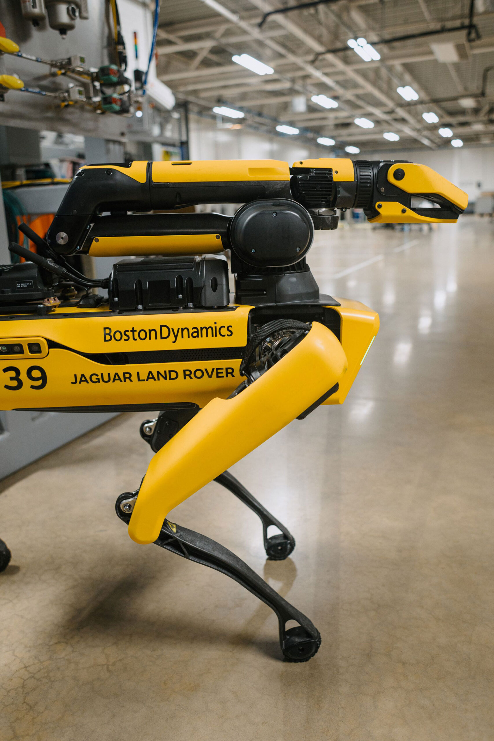 Robot Köpek Rover: Jaguar'ın Yeni Yardımcısı 1 Robot Köpek Rover: Jaguar'ın Yeni Yardımcısı