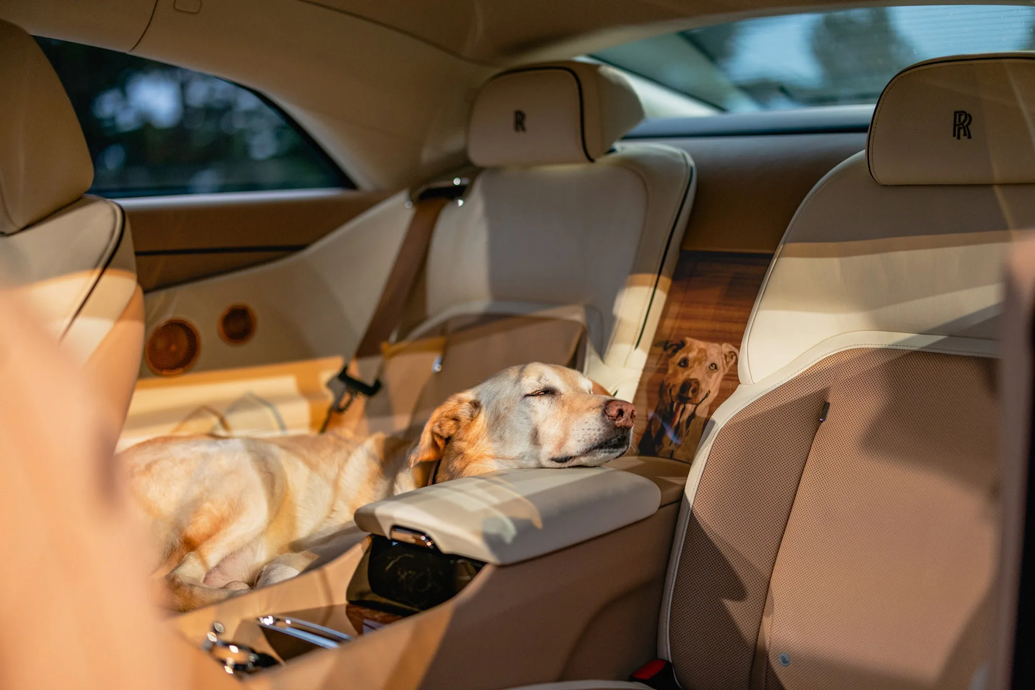 Rolls- Royce Spectre Bailey