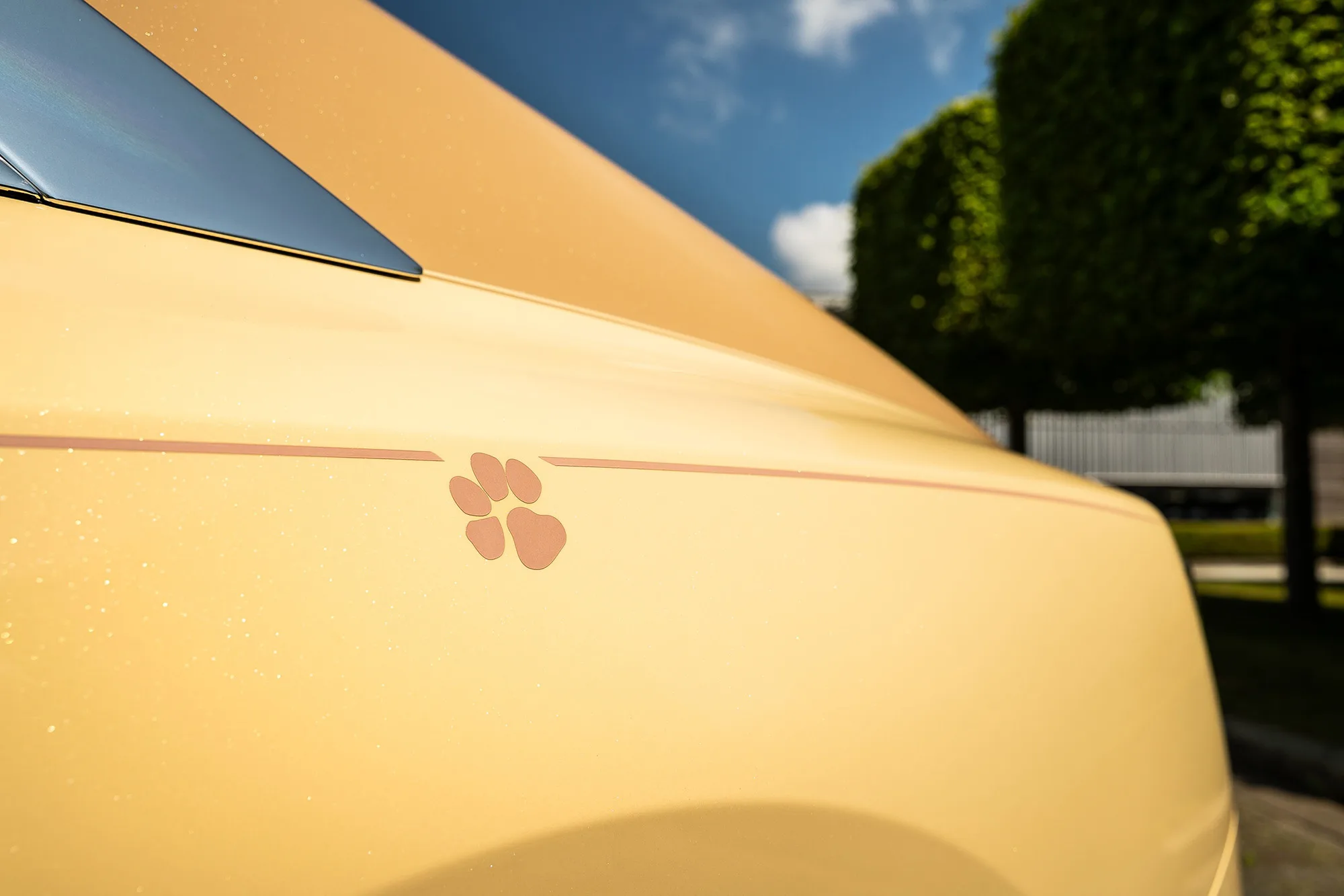Rolls- Royce Spectre Bailey