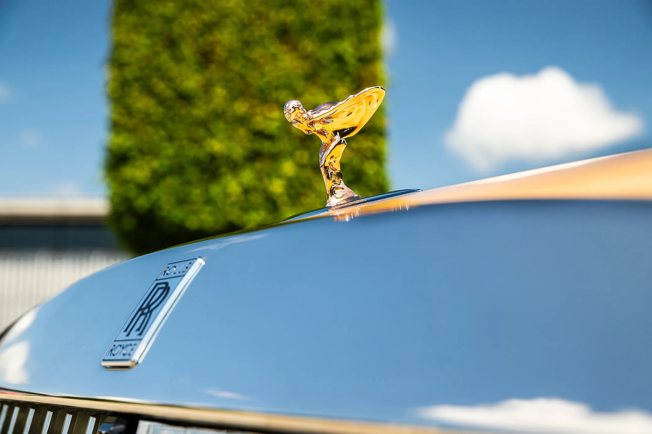 Rolls- Royce Spectre Bailey