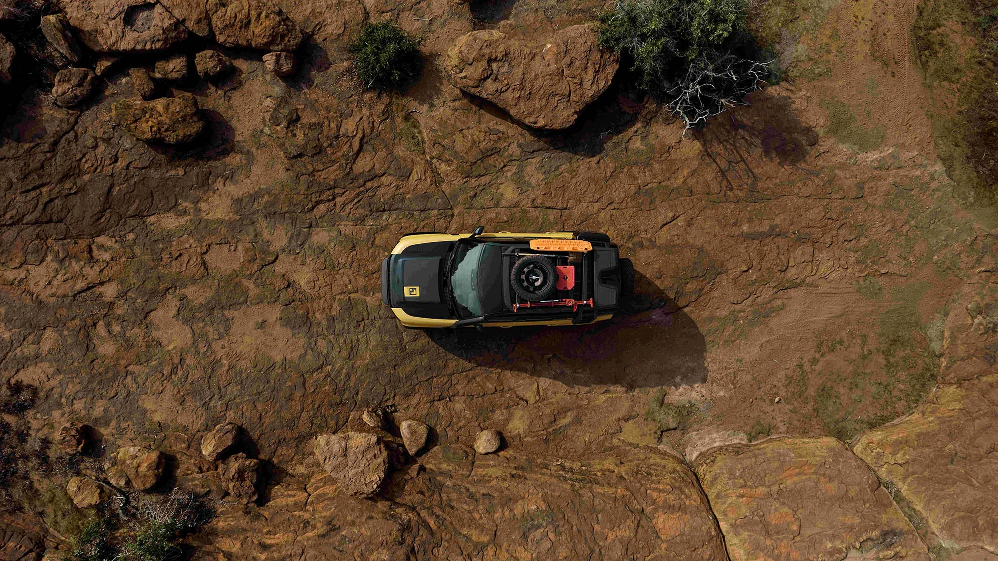 Defender Trophy