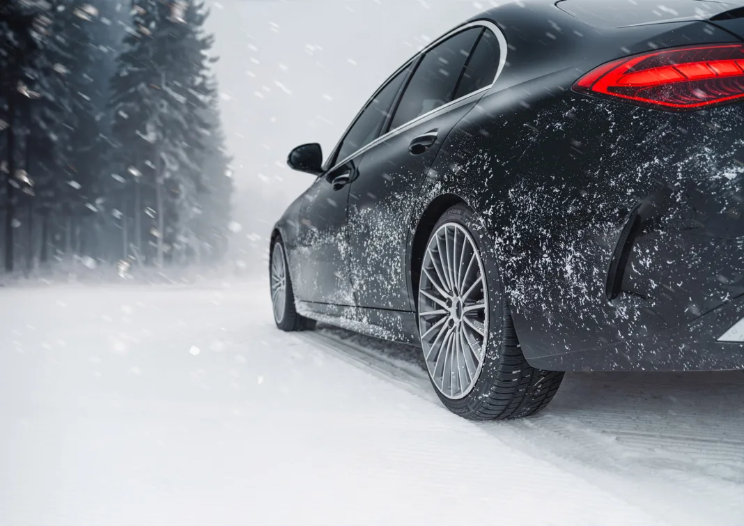 Petlas Snowmaster2 Sport 3