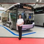 TEMSA